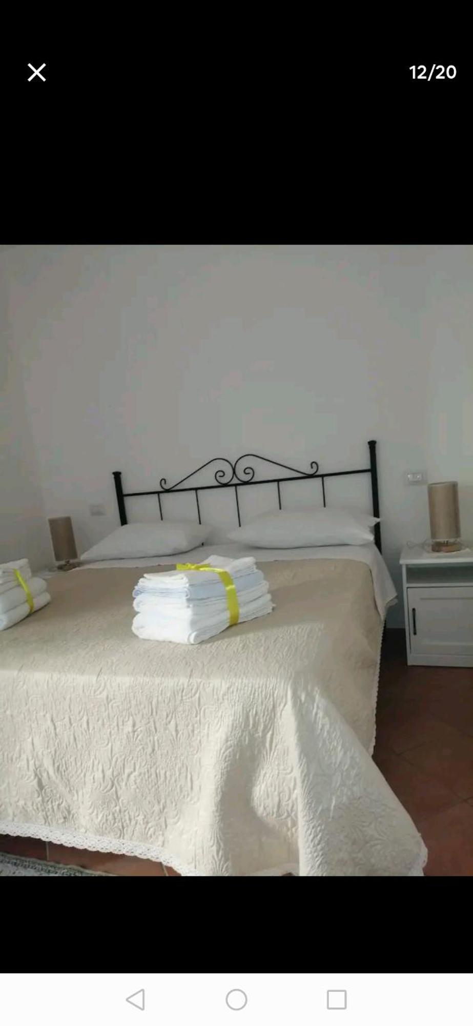 Bed & Breakfast Flower *